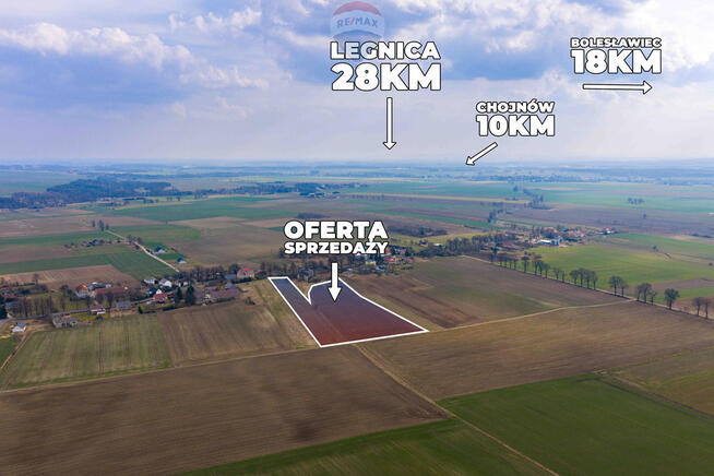 Trzy działki rolne (20.100 m²) + opcjonalnie dom