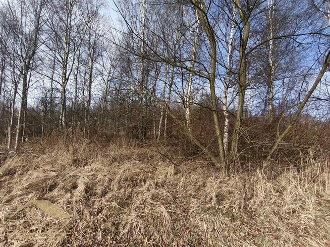 Działka budowlana Wodzisław Śląski, Kominka