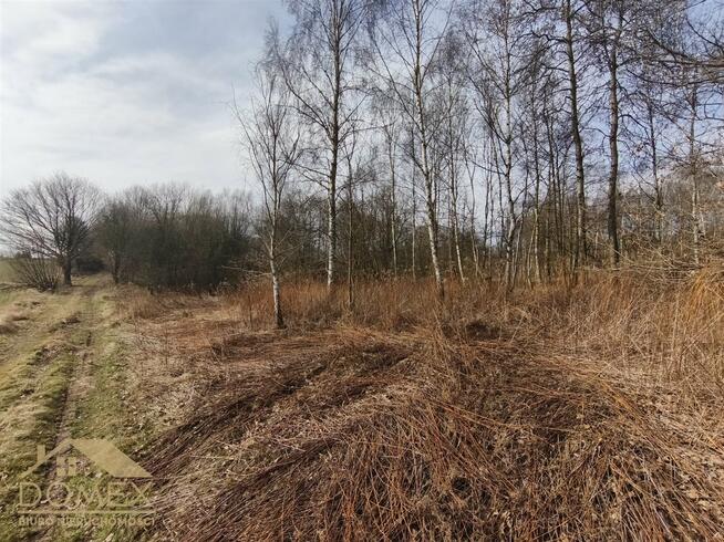 Działka budowlana Wodzisław Śląski, Kominka