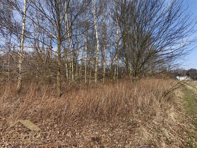 Działka budowlana Wodzisław Śląski, Kominka