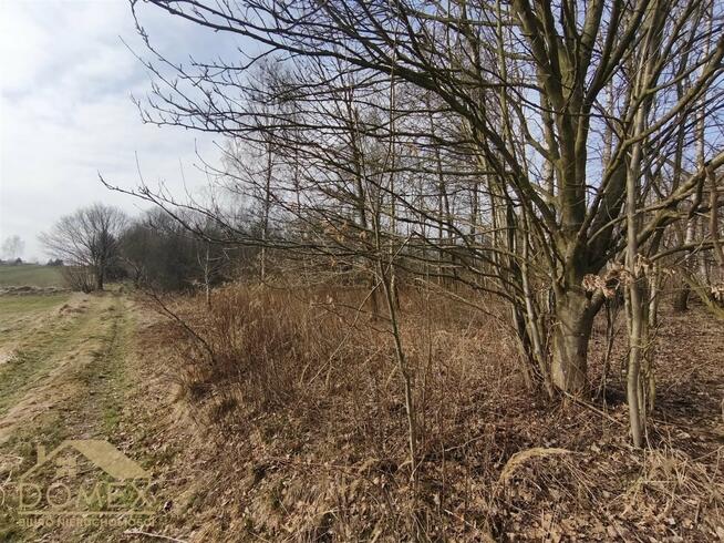 Działka budowlana Wodzisław Śląski, Kominka