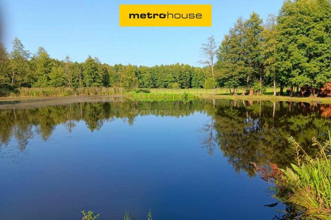 Piękna działka rekreacyjna - Kuligi