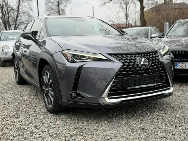 Lexus UX 250 Hybrid Ful LED Premium
