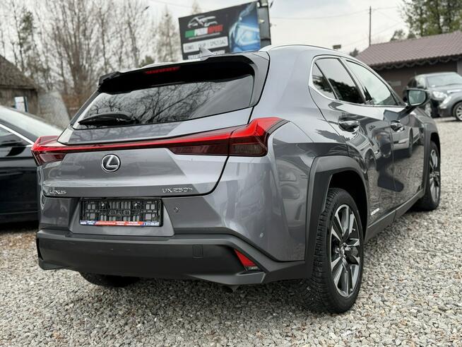 Lexus UX 250 Hybrid Ful LED Premium