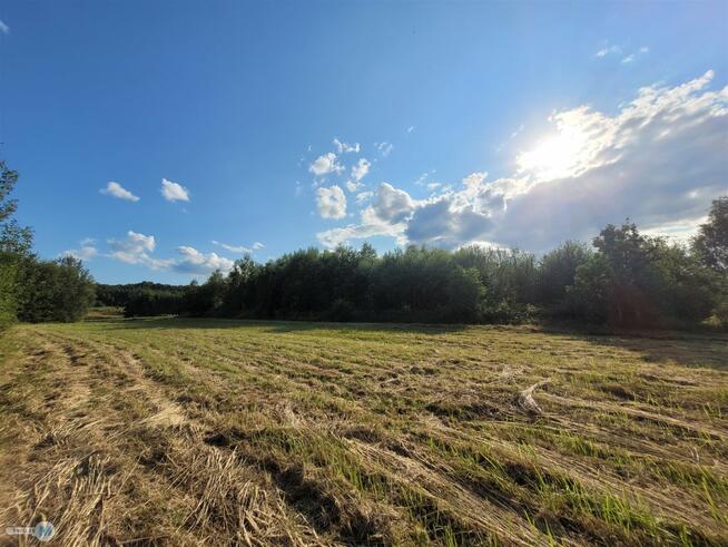 Działka rolna Masłów Masłów Drugi