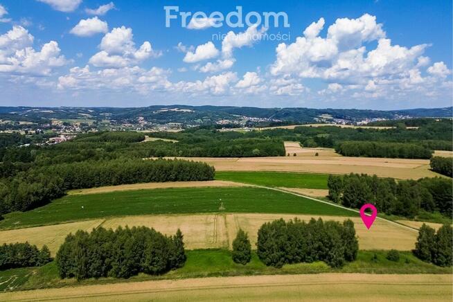 Działka z WZ siedliskowa 46 ar – Strzyżów okolice