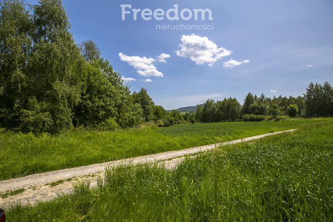 Działka z WZ siedliskowa 46 ar – Strzyżów okolice