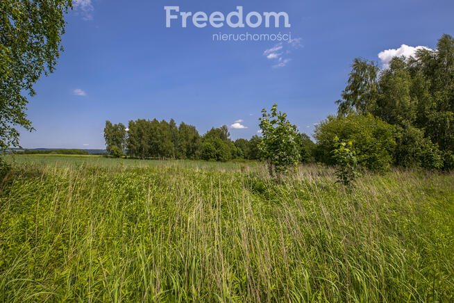 Działka z WZ siedliskowa 46 ar – Strzyżów okolice