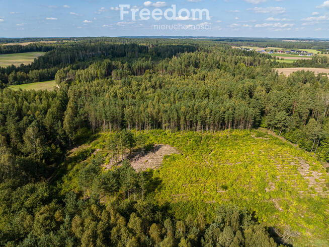Działka siedliskowa z mpzp - dom, las, cisza