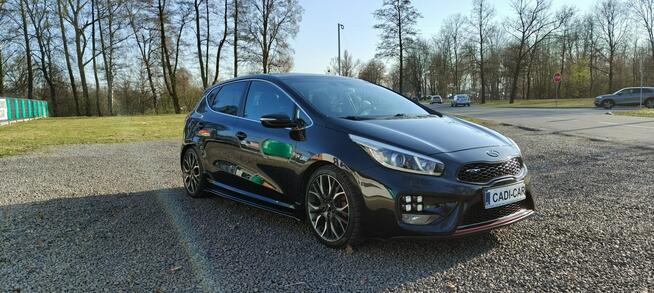 Kia Cee'd GT full wersja.