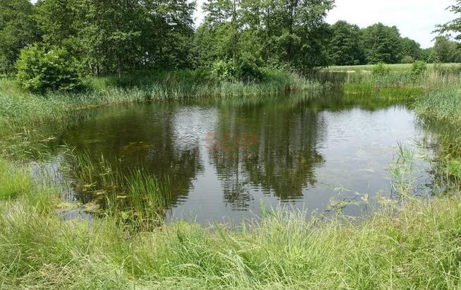 Działka budowlana Kal gm. Węgorzewo