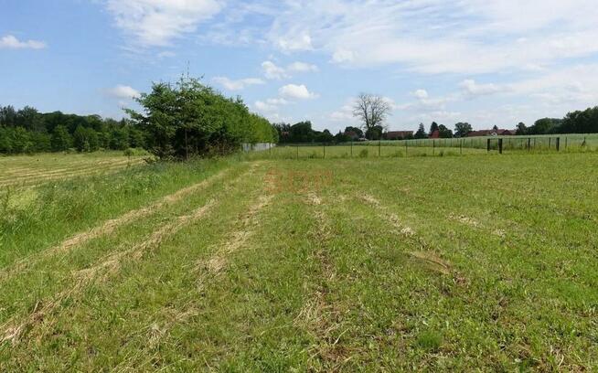 Działka budowlana Kal gm. Węgorzewo