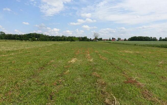 Działka budowlana Kal gm. Węgorzewo