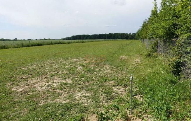 Działka budowlana Kal gm. Węgorzewo