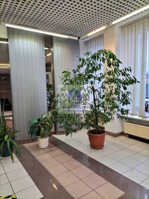 Lokal użytkowy Warszawa Białołęka, Białołęka, Annopol