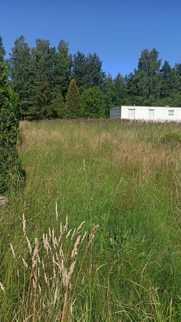 Sprzedam działkę w Rudnikach gmina Włodowice