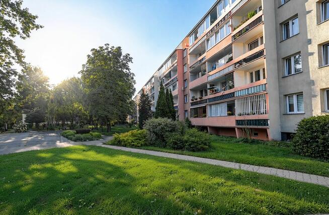 Prywatne Mieszkanie 3 pokoje, piwnica, balkon, niski czynsz
