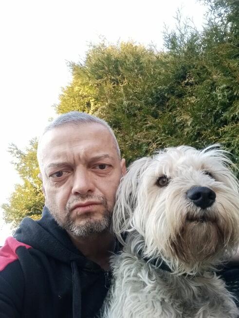 Misio do przytulania