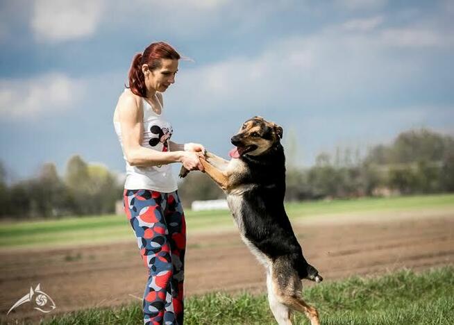 Elegancka dama poszukuje domu - Sara