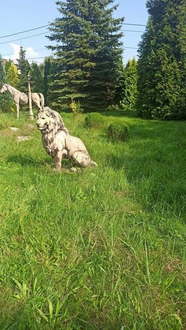 Sprzedam działkę w Rudnikach gmina Włodowice