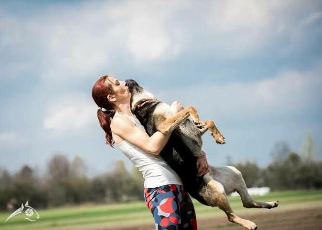 Elegancka dama poszukuje domu - Sara