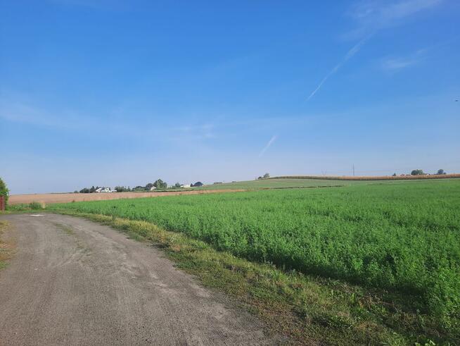 Działka 1532 m2, Głogowo, 115 000