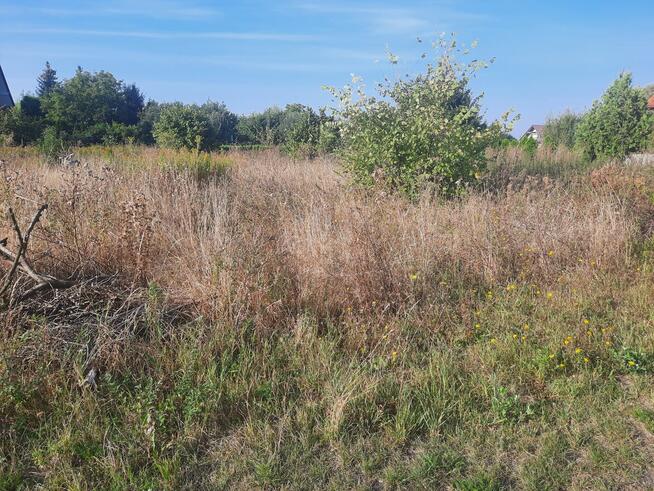 Działka 1532 m2, Głogowo, 115 000