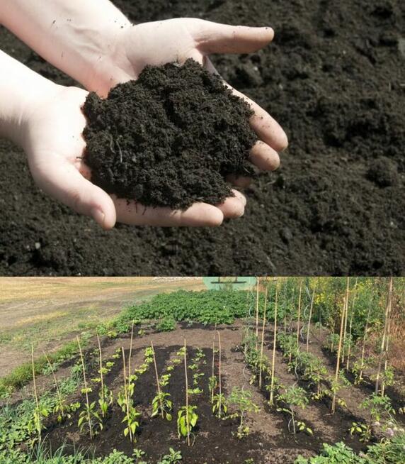 Ziemia Ogrodowa KOPARKA Przewiert Roboty ziemne Minikoparka