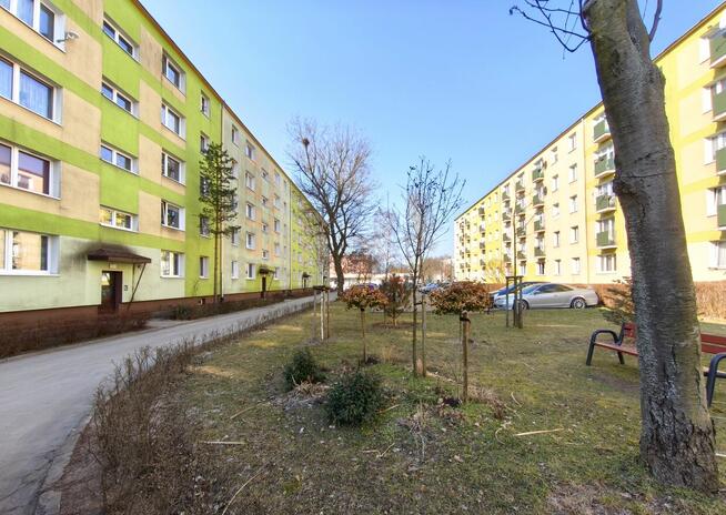 Trzypokojowe w dzielnicy Tysiąclecie przy Zapolskiej