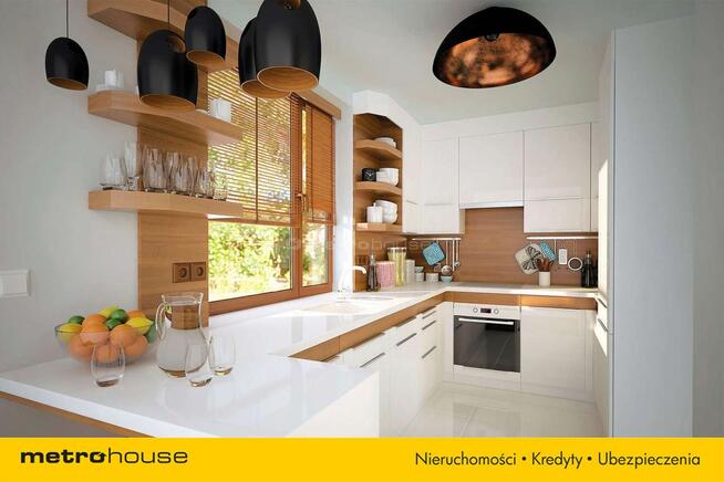 BLIŹNIAK W BOROWEJ GÓRZE K. SEROCKA