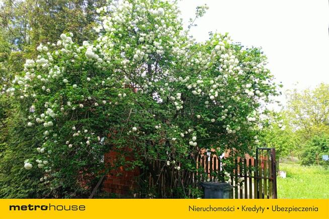 Dom w Kozłowie Biskupim ( 5m od Sochaczewa)