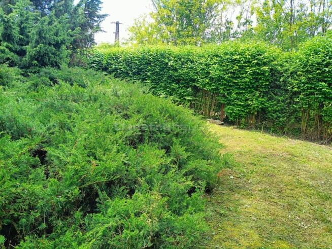 Dom w Kozłowie Biskupim ( 5m od Sochaczewa)