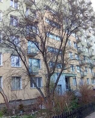 Kawalerka na Pradze-Południe