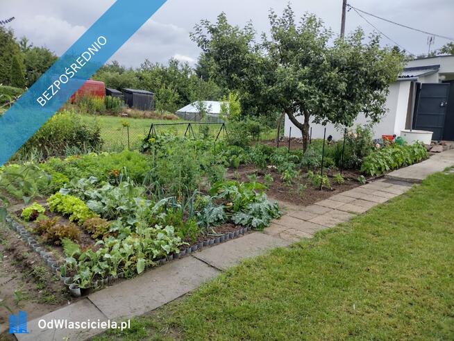 Działka ROD z domkiem 2026 – Aleksandrów Kujawski