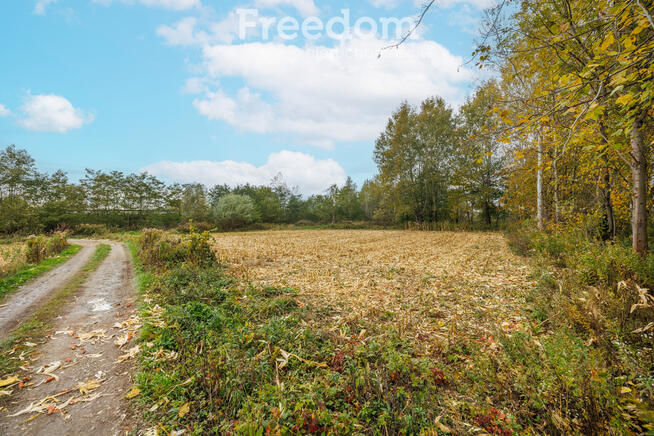 Działka 74a z WZ – Budy Łańcuckie