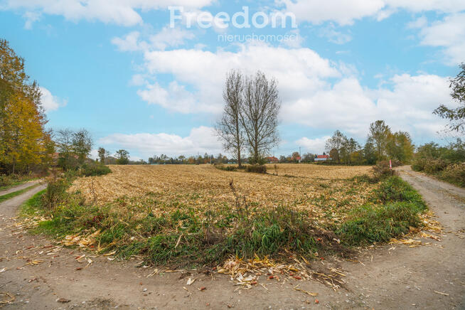 Działka 74a z WZ – Budy Łańcuckie