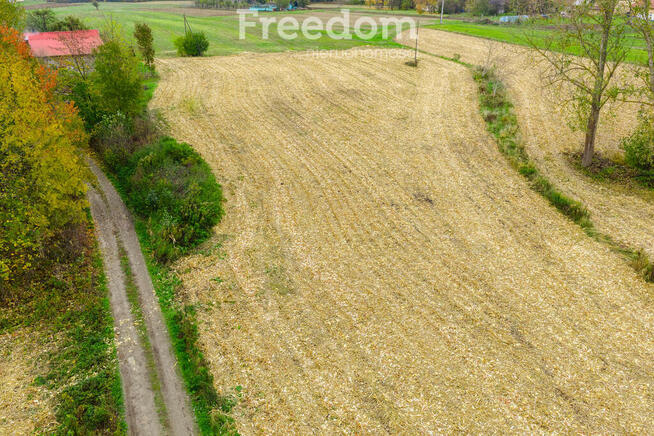 Działka 74a z WZ – Budy Łańcuckie