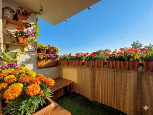 ✅Zobacz>>>Rodzinne mieszkanie z pięknym widokiem✅