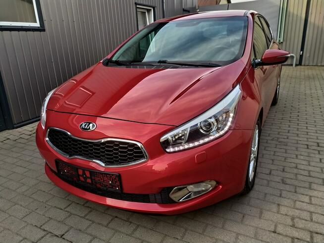 Kia Cee'd 1.6 Gdi  Xenon Navi Kamera PDC  Grzane Fotele i Kierownica Zarejestr.
