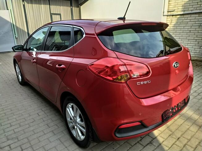 Kia Cee'd 1.6 Gdi Xenon Navi Kamera PDC Grzane Fotele i Kierownica Zarejestr.