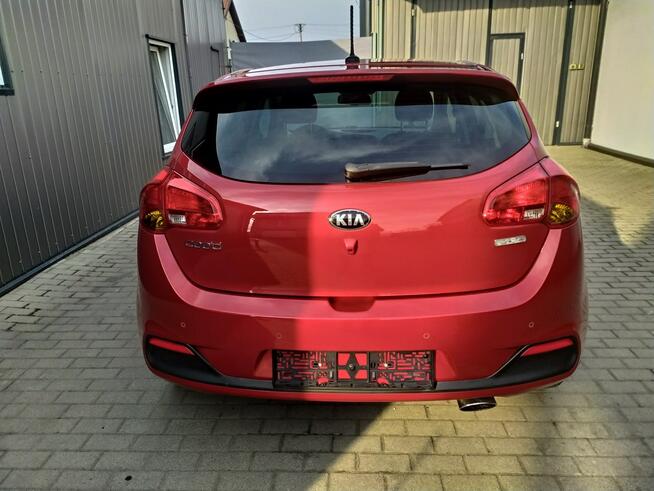 Kia Cee'd 1.6 Gdi Xenon Navi Kamera PDC Grzane Fotele i Kierownica Zarejestr.