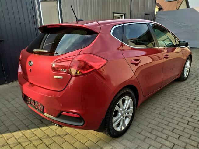 Kia Cee'd 1.6 Gdi Xenon Navi Kamera PDC Grzane Fotele i Kierownica Zarejestr.