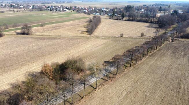 Dębowa Kłoda działka budowlana, Gm. Dębowa Kłoda