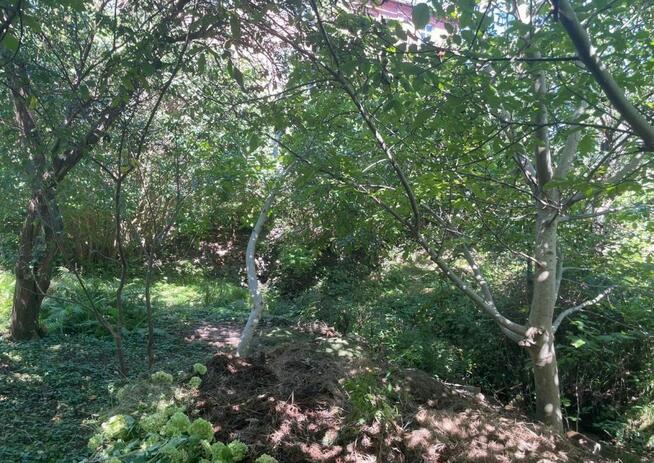 Dom Pobiel gm. Wąsosz,