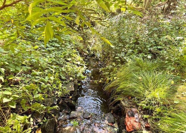 Dom Pobiel gm. Wąsosz,