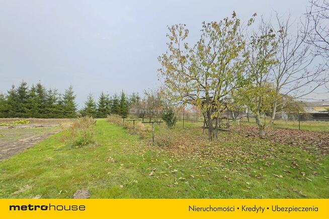 Ładne Siedlisko 2866m2 z domem 124m2 - Kijowiec