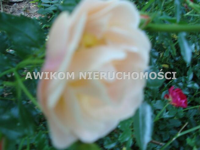 Działka budowlana Kady gm. Grodzisk Mazowiecki