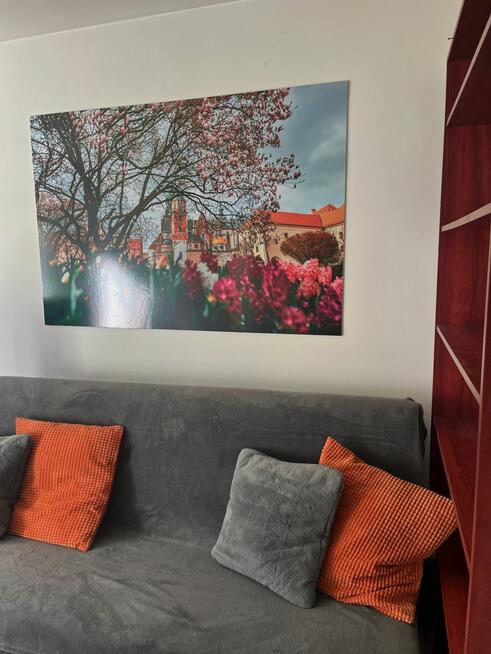 Pokój Kraków gm. Kraków-Krowodrza Bronowice Małe, Eljasza Walerego Radzikowskiego