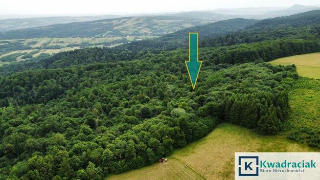 Działka leśna Stary Żmigród gm. Nowy Żmigród,
