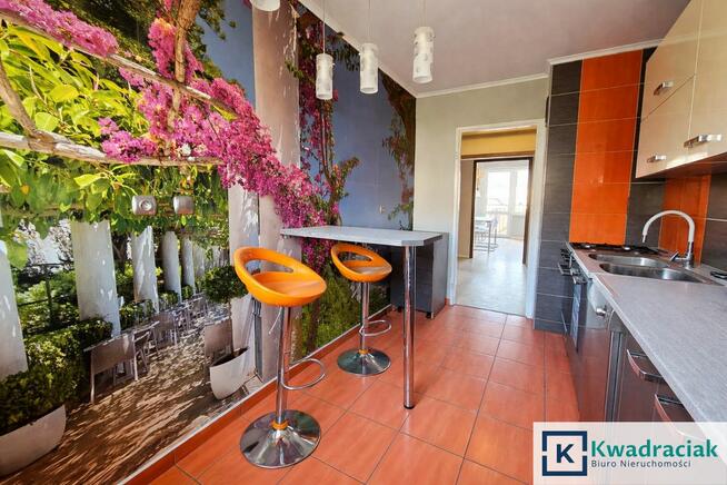 Mieszkanie Ustrzyki Dolne, Pck